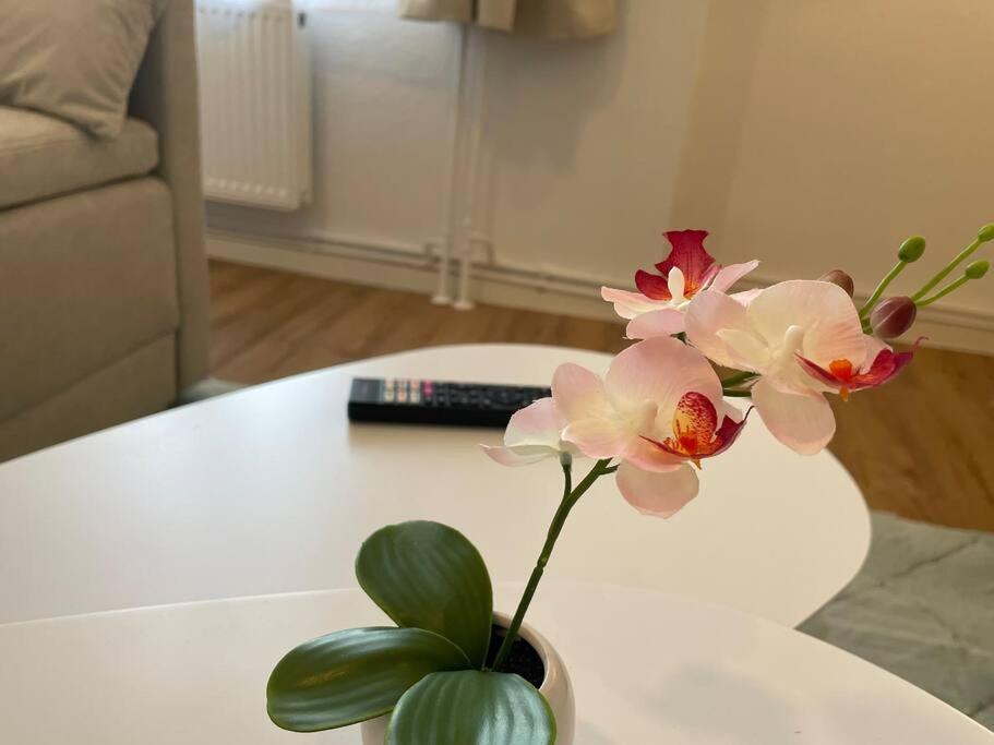 Apartment Lucky Ls08 - Vollausstattung - Zentrum - Aufzug - Grosse Kueche - 2 - Smart-tv